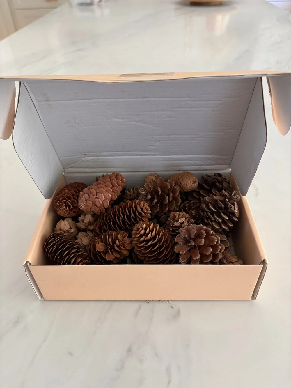 Natural Brown Pine Cone Mix for Home Holiday Decor